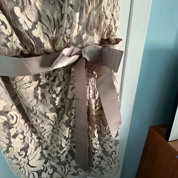 Tadashi Shoji Lace Overlay Dress in Sand, 14 - Picture 11 of 11